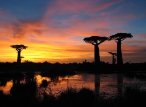 Mariage à Madagascar